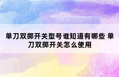 单刀双掷开关型号谁知道有哪些 单刀双掷开关怎么使用